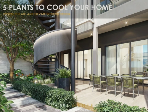 5 Plants to Cool Your Home, Refresh the Air, and Elevate Interior Design