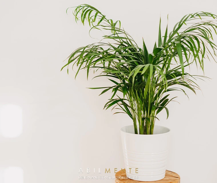 5 Plants to Cool Your Home