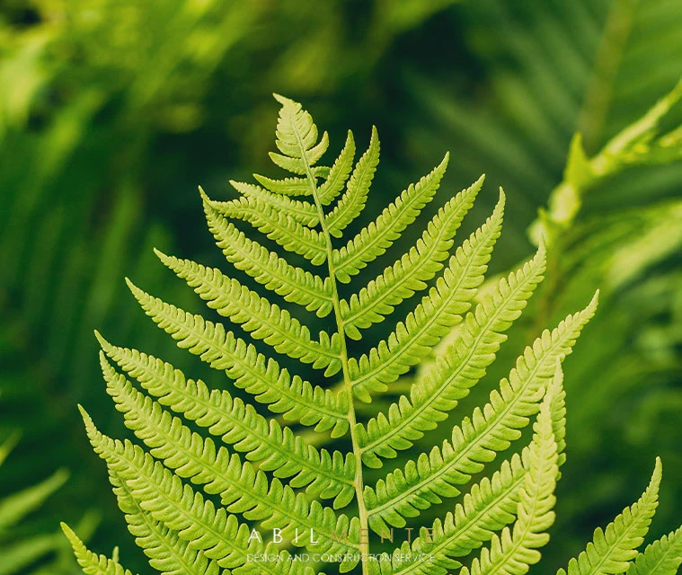 5 Plants to Cool Your Home